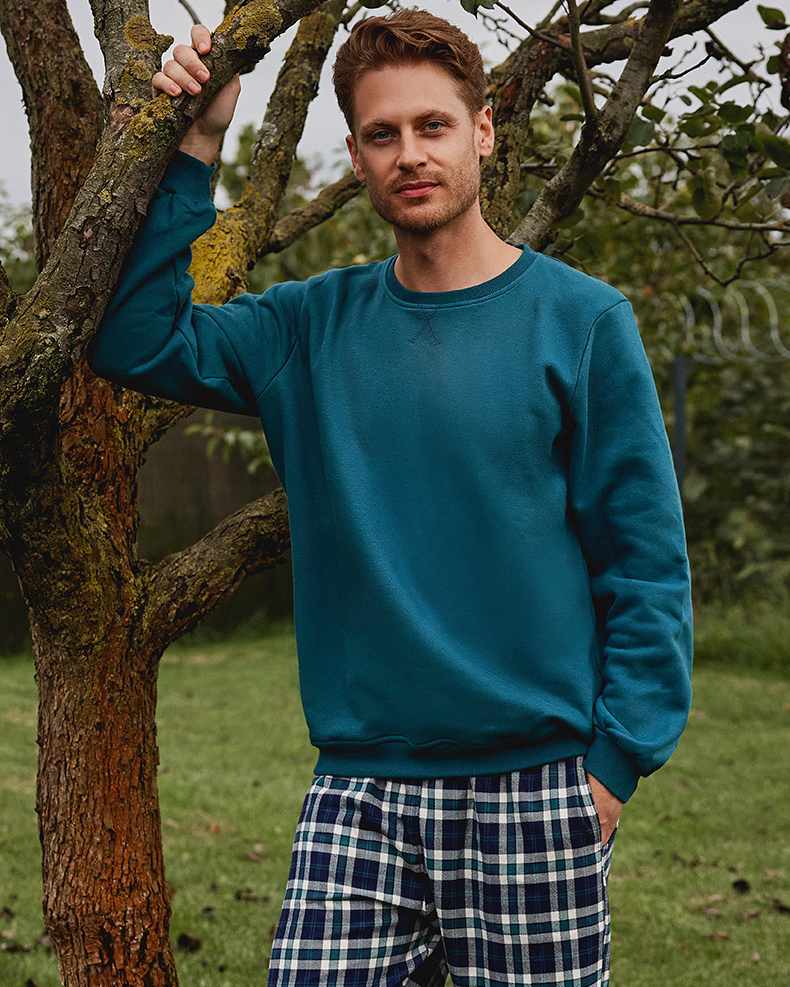 Men's plain rhubarb sweatshirt