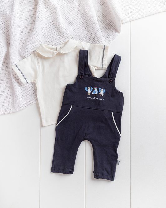 Splash Spla Boys' Set Printed Suspender T-Shirt Bodysuit