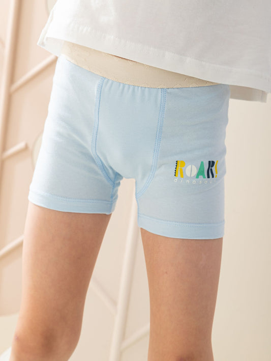 Boys Flat Elastic cute dinosaurs Boxer Briefs
