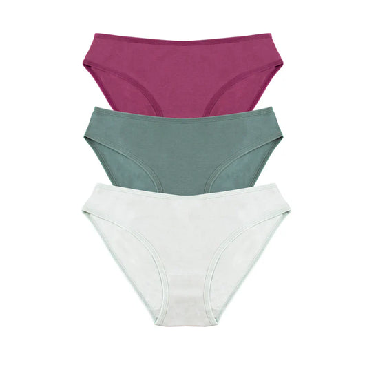 Plain bikini underwear (women's plain slip)